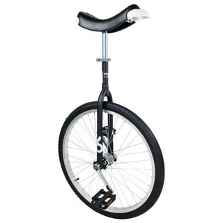 追風一輪車專賣店 線上商店 蝦皮購物