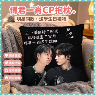 大量庫存🌞博君一肖CP抱枕肖戰王一博明星衕款枕頭臥室宿捨靠枕送學生日禮物