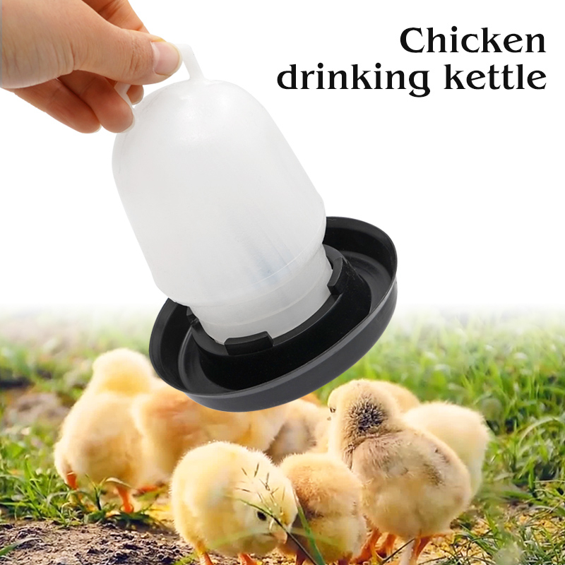 【現貨】0.5kg 塑料家禽飲水器小雞飲水器懸掛式雞餵水器耐用自動飲水器鴨用