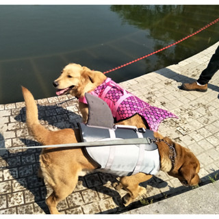 狗救生衣游泳狗泳衣美人魚游泳狗背心鯊魚大狗游泳背心