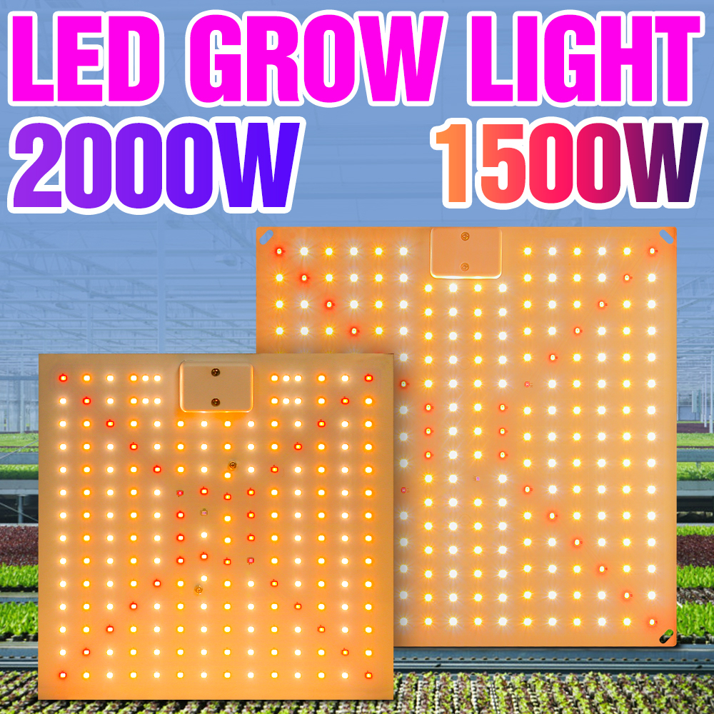 110V量子板2000w全光譜led植物生長燈燈水培照明室內花卉種子