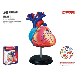 4D MASTER拼裝玩具 人體各器官拼裝模型 醫學教學模型 心臟
