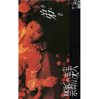 1994日劇 禁斷的果實/禁果 DVD 全新盒裝3碟 田中美佐子 全13回 日語中字