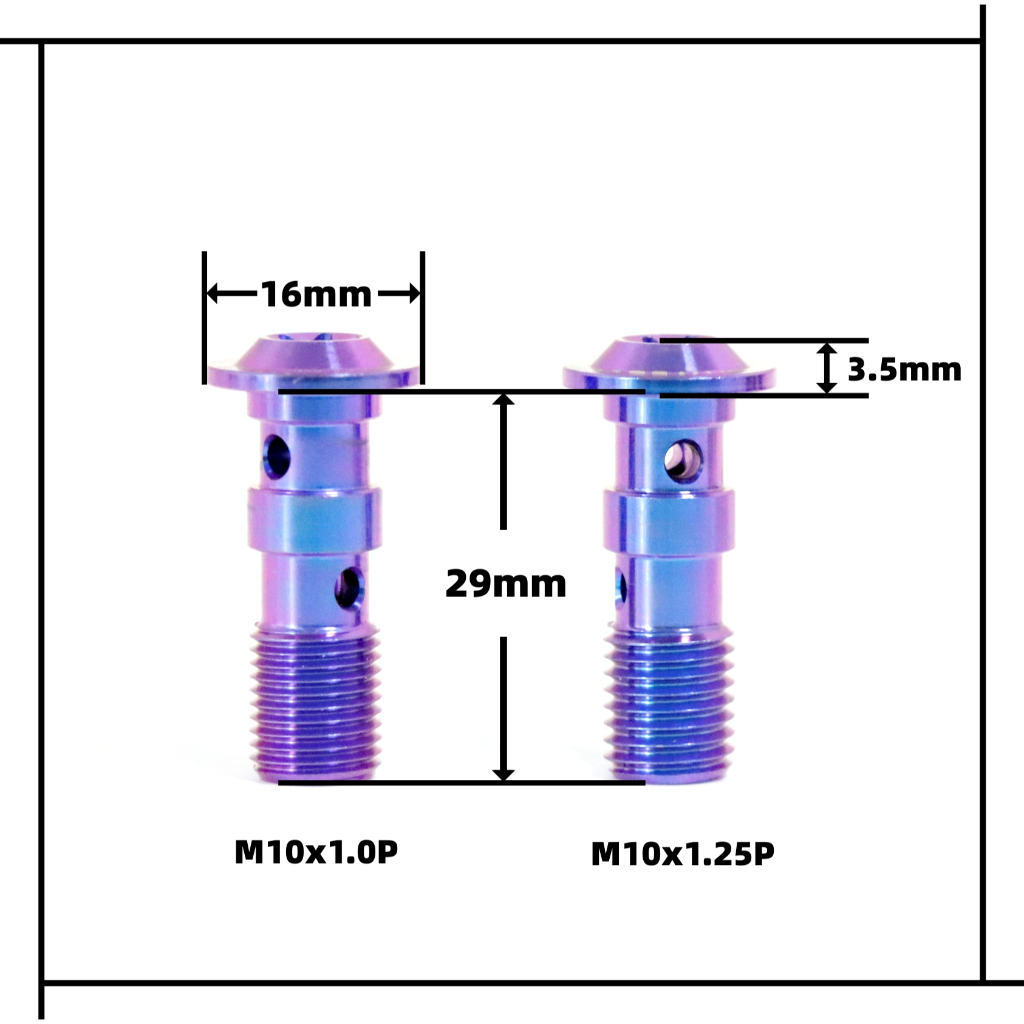 RTAMO | M10X1.0P/1.25P 64正鈦 重車用雙油管螺絲 飛碟頭 Brembo油管螺絲