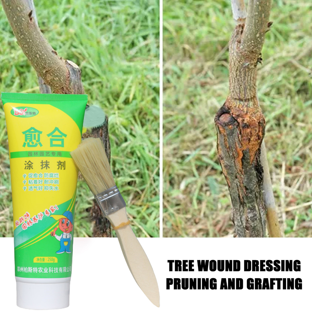 250g植物樹木傷口癒合劑 塗抹劑 果樹嫁接藥愈傷膏 盆景封口切口樹樁樹苗