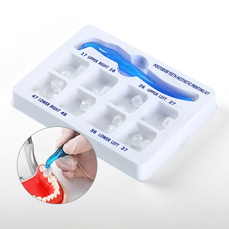 用於光固化複合修復填充工具的牙科後牙齒美學印刷模具套件