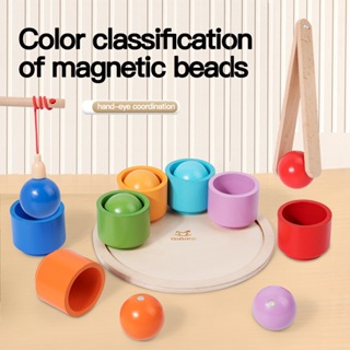 【櫟趣玩具屋】木製玩具 蒙特梭利 兒童教具 磁性球與杯顏色分類配對夾球夾珠遊戲