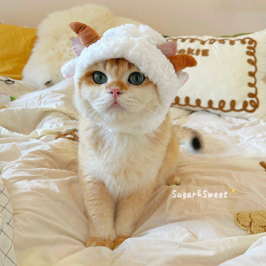 🐱现货秒出🐶貓咪網紅綿羊寵物變裝頭套 可愛 搞笑 幼犬 小貓 保暖 搞怪 造型頭飾 拍照