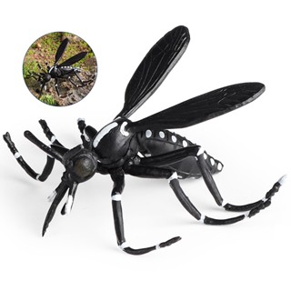 昆蟲 動物模型 蚊子 白紋伊蚊 害蟲 模擬道具 兒童教育玩具 裝飾品