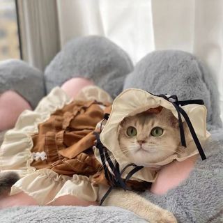 【現貨當天發】貓咪衣服 狗狗蘿莉塔裙子 寵物服飾