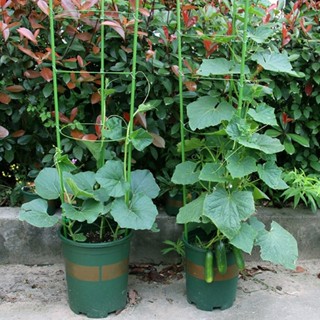 攀爬藤架錐形蔬菜格子植物植物支撐架裝飾花卉園藝工具 [LO]