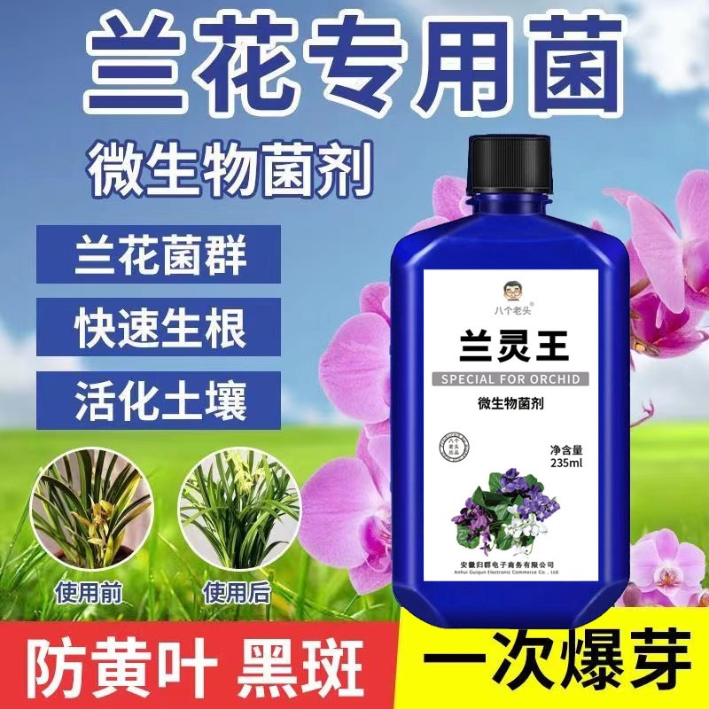 工廠供應蘭靈王蘭花專用營養液君子蘭科蝴蝶蘭墨