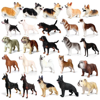 模擬柴犬寵物模型 實心塑膠日本秋田犬羅威納金毛哈士奇柯基拉布拉多牧羊犬 狗狗玩具擺件 男女孩兒童早教認知禮物