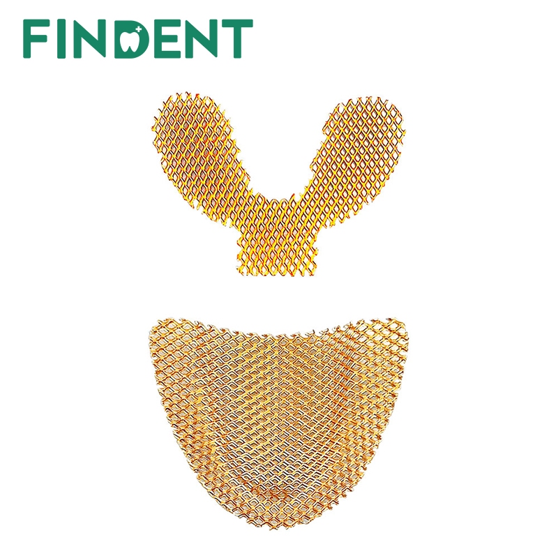 10 件/包上下牙科實驗室黃金假牙材料金色金屬 加固網用於亞克力局部義齒