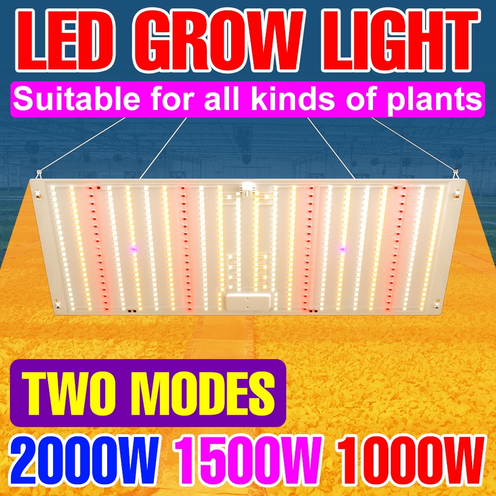 110V全光譜LED植物生長燈2000W溫室帳篷育苗燈量子板綠植補光燈水培蔬菜花卉種子多肉瓜果盆栽樹苗T太陽光培育照明