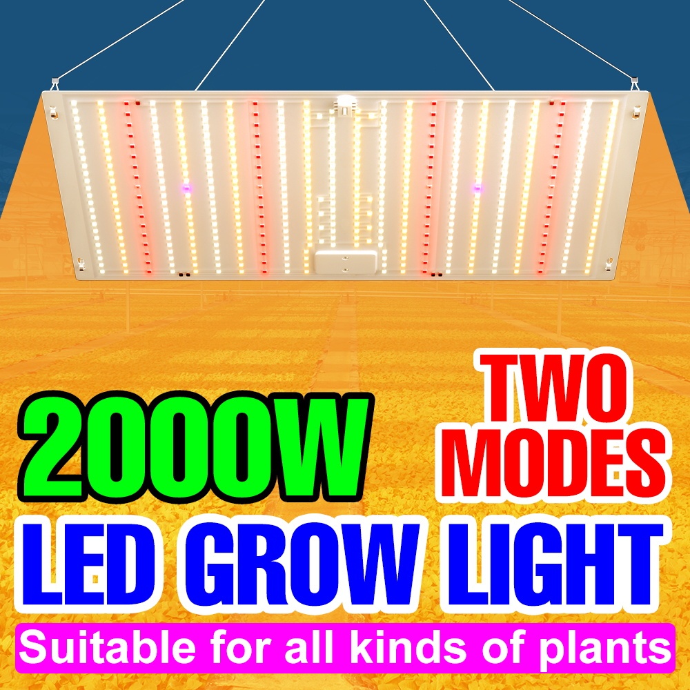 2000W全光譜LED植物生長燈110V量子板綠植補光燈AC100-277V蔬菜花卉種子多肉瓜果盆栽樹苗紅藍光培育照明