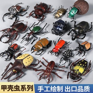 現貨兒童科教模擬甲蟲獨角仙屎殼郎動物模型 整蠱玩具 昆蟲擺設沙盤場景萬聖節耶誕節蜘蛛 兒童寶寶認知擺件禮物