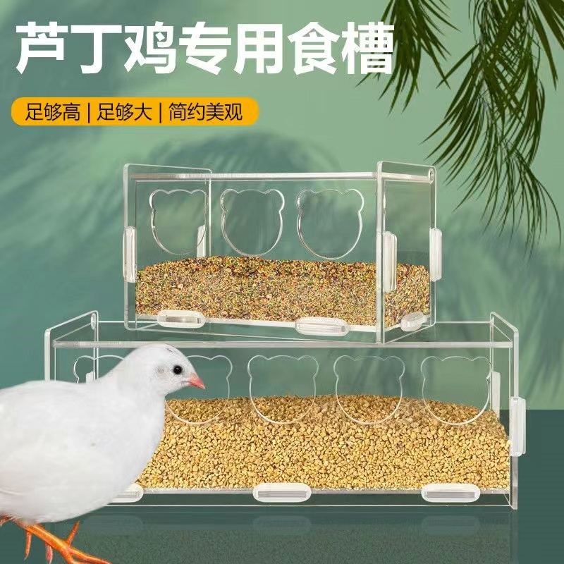 蘆丁雞餵食器 自動放糧 食槽 飼料盒 飼養用品 蘆丁雞用品 鳥類防刨食槽 餵食盒透明亞克力 防濺自動下料雞箱 自動餵食器