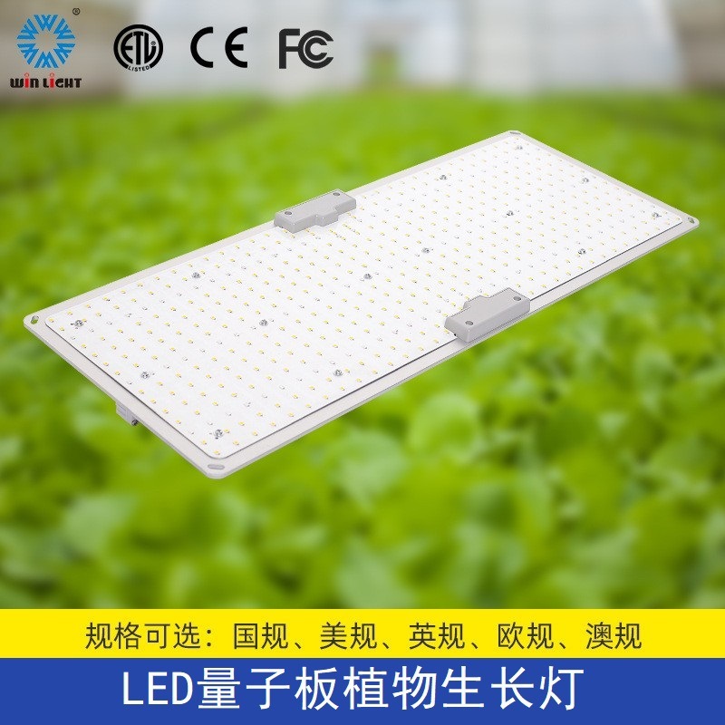 量子板植物生長燈led grow light室內大功率全光譜UV紫外線補光燈