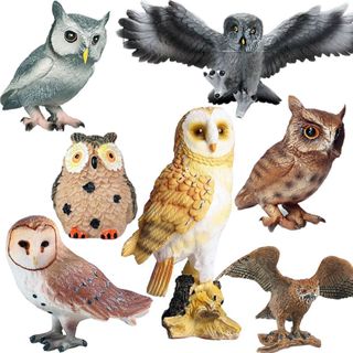 鴞形目鳥類 貓頭鷹 飛鳥 模型 兒童教育玩具 模擬動物 家居擺件