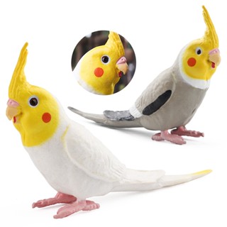 模擬 玄鳳鸚鵡 飛禽 小鳥 模型 兒童教育玩具 認知動物 道具 花園裝潢