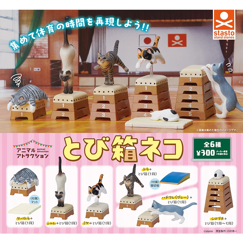 日本正版扭蛋STASTO 動物愛好系列 體育貓 跳箱喵 新色篇 擺件裝飾玩具
