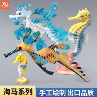 模擬海馬海龍模型 實心塑膠海洋動物玩具 海底生物世界兒童早教認知擺件禮物