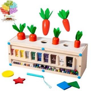 【樹年】蒙氏木製兒童磁性運筆數字迷宮拔蘿蔔形狀顏色配對智力盒益智玩具