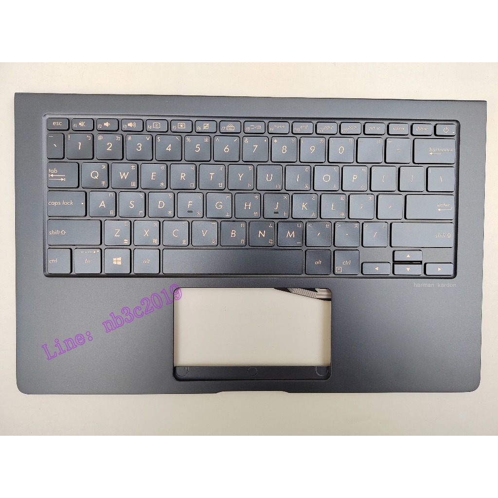 Asus華碩靈耀X ZenBook UX391 UX391U UX3000F S13 UX391UA 中文背光鍵盤