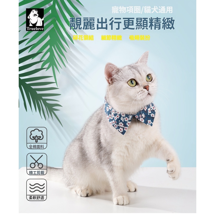 11小貓咪項圈項鏈寵物遛貓牽引繩飾品專用品口水巾三角圍巾