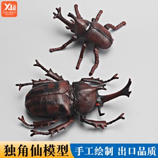 現貨獨角仙模型模擬昆蟲動物玩具甲殼蟲兒童男孩女孩科教寶寶認知擺件
