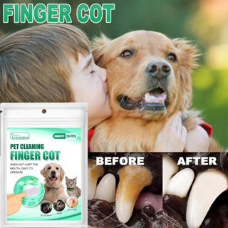 20 件裝寵物牙齒清潔一次性手指套濕巾去除牙垢海螺清潔貓狗牙刷口腔護理手指套