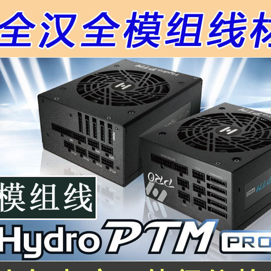 新品 FSP全漢 Hydro PTM Pro1200W白/金牌全模組線材顯卡8P線SATA線