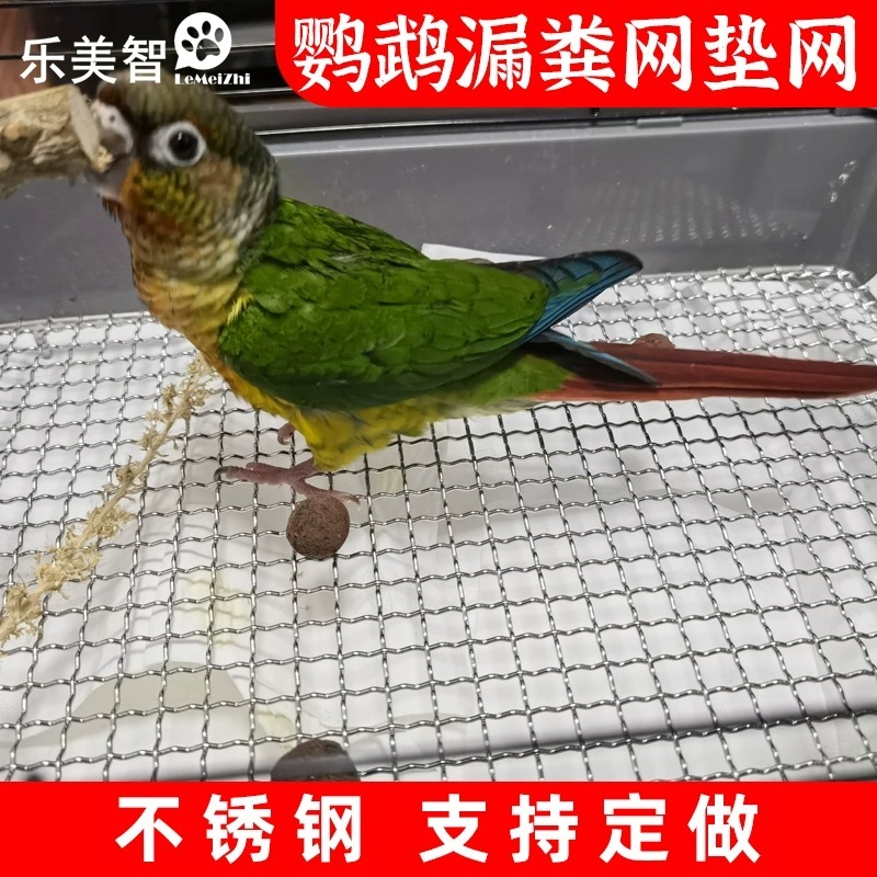 不鏽鋼鸚鵡保溫箱防燙蘆丁雞漏糞墊網狗兔籠子底網不卡腳定做