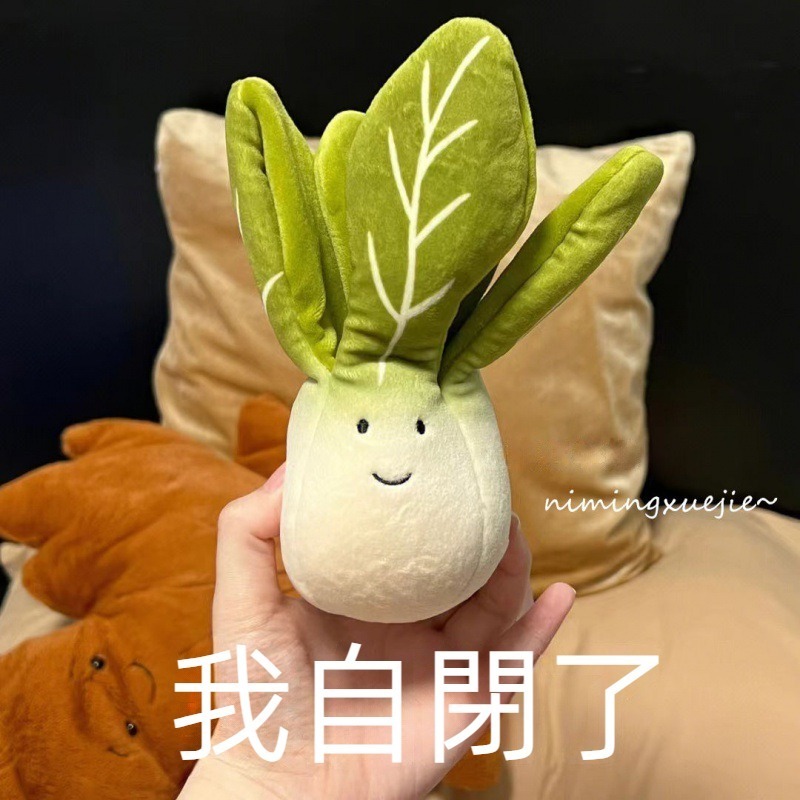 毛絨玩具 趣味 蔬菜公仔 英國玩偶 上海青 大白菜娃 可愛吊飾