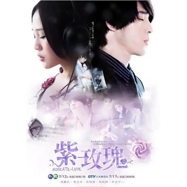 2009臺劇DVD《紫玫瑰》梁文音/黃騰浩 國語中字 全新盒裝7碟
