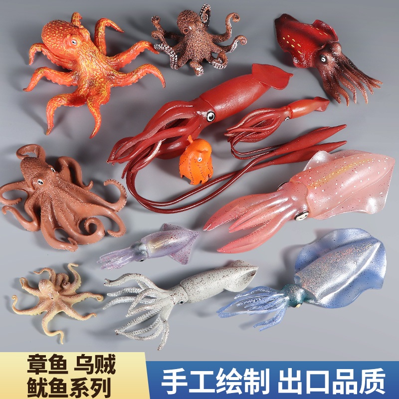 現貨實心仿真海洋生物 海底魷魚玩具花枝動物大王烏賊模型男孩生日禮物