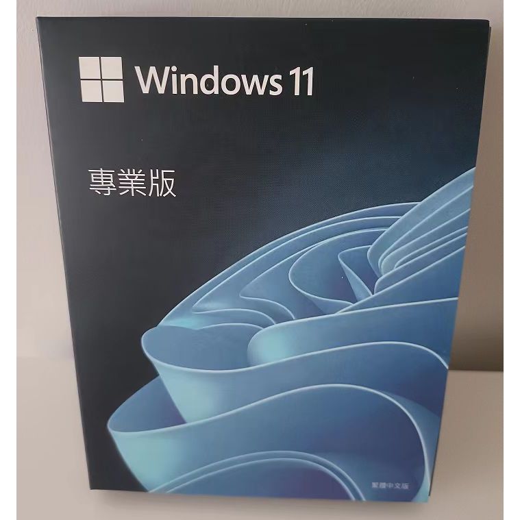 win11 pro 專業版 彩盒 可移機 永久 買斷 可重灌 全新 win 10 作業系統家用版USB