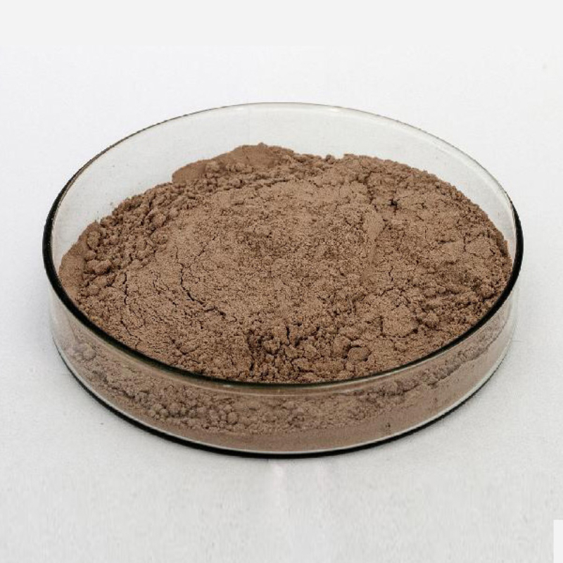Novobac Purpureocillium 丁香神經酰胺 1 公斤 - 土壤中的有機保護作物免受損傷