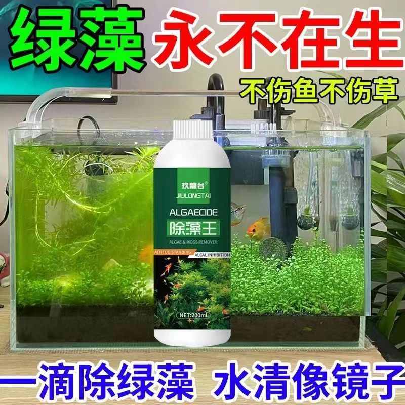 魚缸除藻劑 去苔劑 綠藻 褐藻 絲藻 黑毛藻 魚缸 淨水劑 青苔 去除 硝化細菌