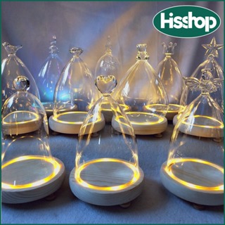 發光玻璃罩,玻璃罩永生花,鐘形罐玻璃圓頂，首飾裝飾玻璃鐘形罐