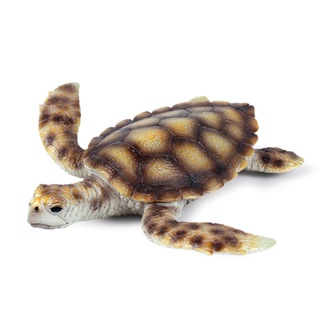 仿真海洋動物模型玩具野生海龜塑料動物靜態模型擺件