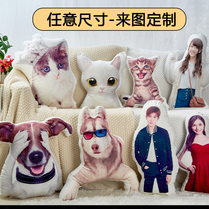 【客製化】【醜貓抱枕】diy訂製 抱枕 3d照片 定做 寵物枕頭 貓咪 異形來圖 禮物 可印 玩偶 靠枕