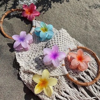 女士甜美髮夾夏威夷七彩花朵髮夾沙灘髮夾爪形髮夾時尚配飾