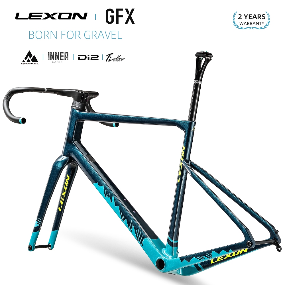Lexon GFX 碳纖維礫石車架盤式自行車車架通軸 142 毫米自行車車架組公路自行車配件自行車零件 xdb dpd