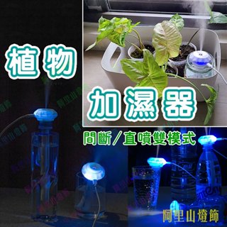 植物加濕器 大容量 龜背芋 蔓綠絨 鹿角蕨 爬蟲動物 兩段加濕 觀葉植物 雨林植物 園藝滴灌 噴水