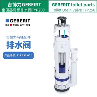 【吉博力馬桶水箱排水閥】GEBERIT馬桶水箱配件 TYP250節水型 雙衝 排水 落水器 出水閥 按鈕 支架