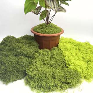 30-50g 絲狀毛線模擬苔蘚草皮造景人造假青苔DIY微縮場景模擬藤蔓微景觀仿真植物配件盆景盆栽鋪面裝飾