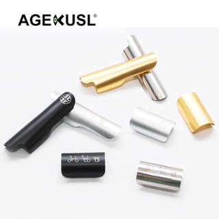 Agekusl 自行車後叉保護貼紙貼花用於 Brompton 3Sixty 三折折疊自行車鋁合金 2 件 3M 貼紙