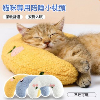 【現貨速發】貓玩具陪睡小枕頭 貓咪玩具 逗貓棒 寵物睡墊 寵物枕頭 貓咪睡覺玩具 寵物用品 貓咪用品 狗狗用品
